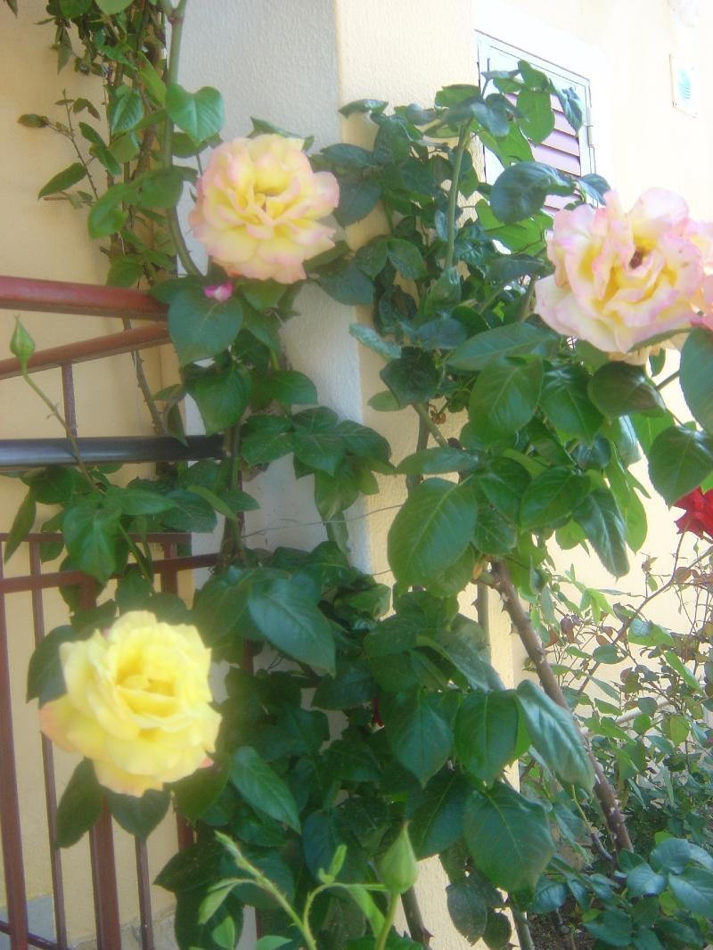 Roda Pearl Resort Roda (Corfu) Exterior foto